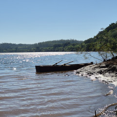 Luis Alberto Fernández Freddo