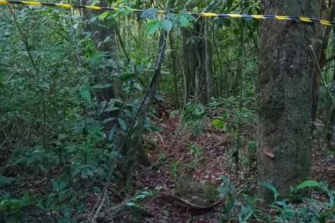 Suspeitos de homicídio são presos em Três Passos