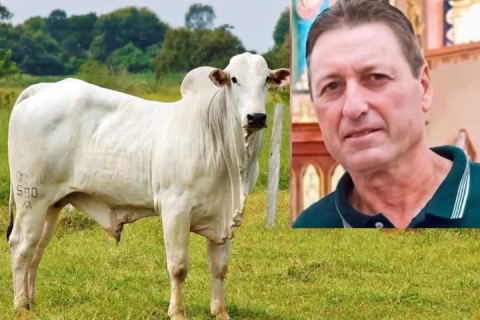 Homem morre após ser atacado por touro em propriedade rural, no Vale do Taquari (RS).