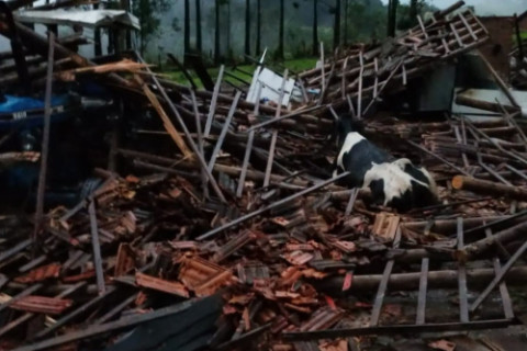 Interior de Três Passos: Temporal causa grandes prejuízos em propriedade rural
