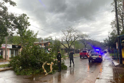 Temporal causa estragos em El Soberbio, na Argentina, e prefeito afirma que fenômeno pode ter sido um tornado