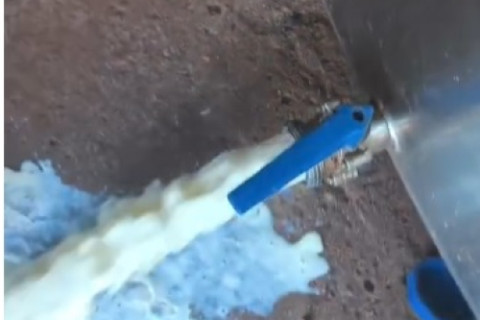 Em protesto desesperado contra o baixo preço pago ao produtor, agricultor de Crissiumal derrama leite fora