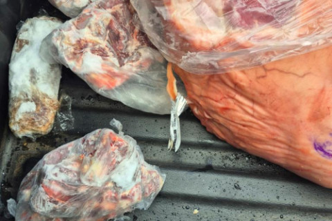 Braga: fiscalização apreende 2 toneladas de produtos impróprios para consumo e interdita mercado