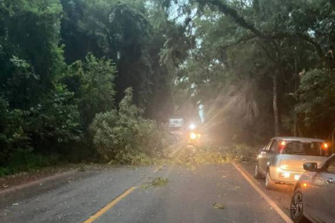 Chuva com vento causa transtornos e interdições em rodovias da região