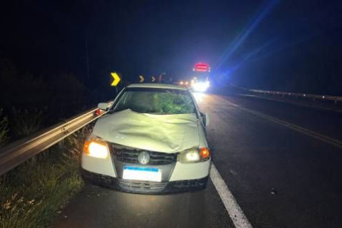 MOTORISTA FICA FERIDO APÓS ATROPELAR BOVINO NO ANEL VIÁRIO DE HORIZONTINA NESTE DOMINGO