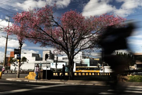 Sol predomina no RS nesta terça-feira, mas manhã segue fria; veja temperaturas mínimas