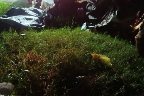 Tragédia:  Pai e filha morrem em grave acidente na BR-386, em São Pedro das Missões