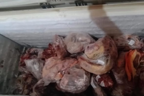 Polícia Civil prende responsáveis por estabelecimentos e apreende mais de 400 quilos de carne imprópria para consumo em Vacaria