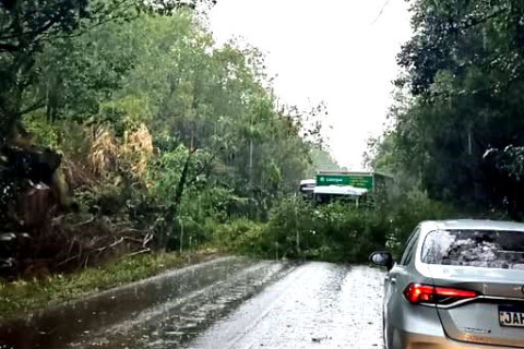 ÁRVORES NA PISTA INTERROMPERAM RODOVIA ENTRE TUCUNDUVA E TUPARENDI